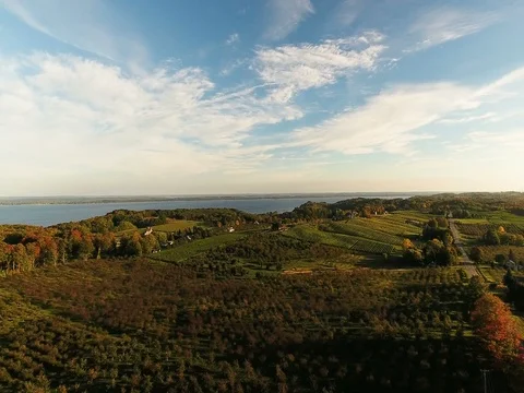 Orchard zoom with bay in background Stock Footage 76138549