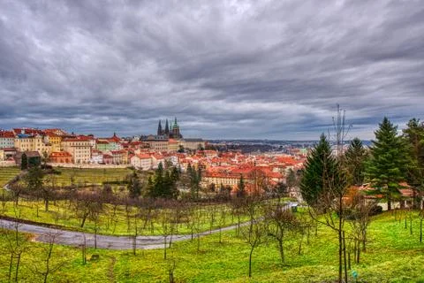 Orchards of trees and in the background Mala Strana with cathedral and castle Stock Photos