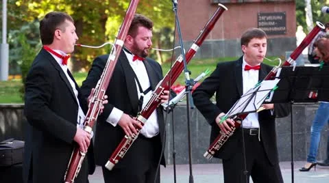 Orchestra Stock Footage 11974502