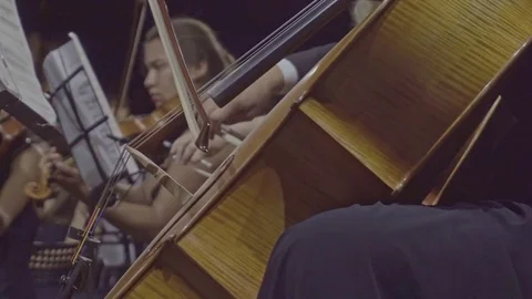 Orchestra 스톡 동영상 81976944