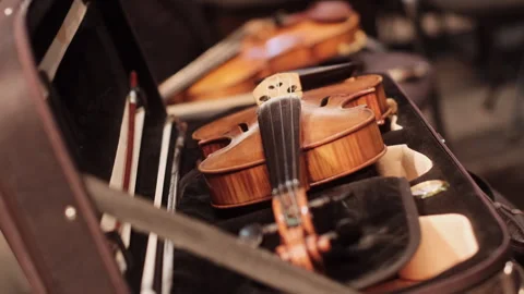 Orchestra Stock Footage 297072214