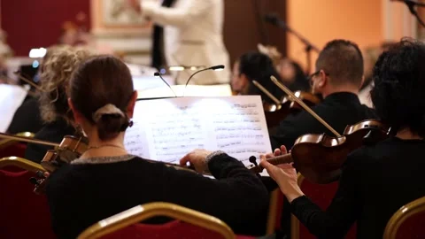 Orchestra Stock Footage 332160207