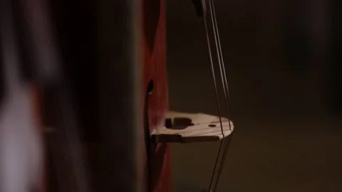 Orchestra instruments 6 Stock Footage 310027784