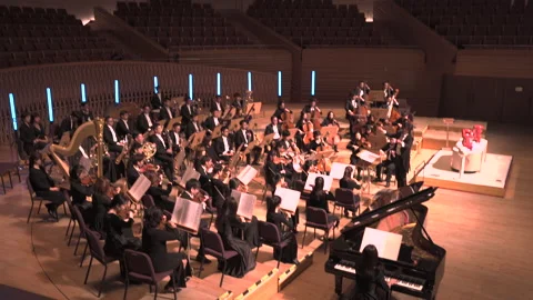 Orchestra Playing Symphony Stock Footage 236975142