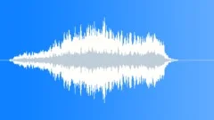 Orchestra Sound Effect
