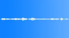 Orchestra tuning noise 01 Sound Effect