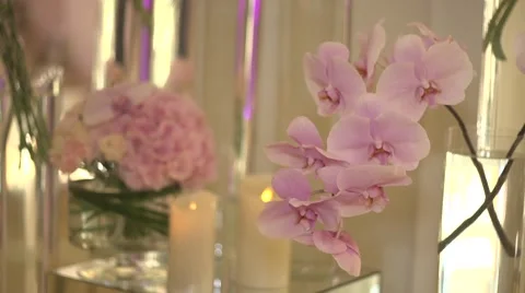 Orchid and candle Stock-Footage 44329098