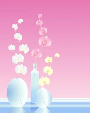 Orchid arrangement Stock Illustration