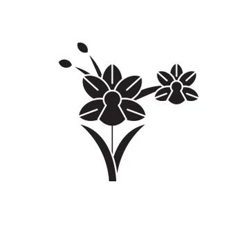 Orchid black vector concept icon. Orchid flat illustration, sign Stock Illustration