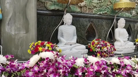 Orchid with Buddha statue Stock Footage 244589122