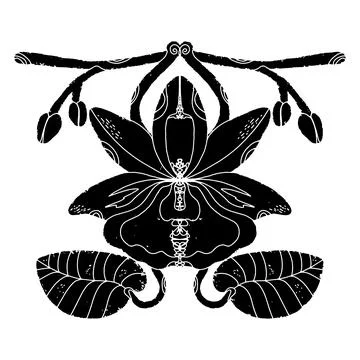 Orchid composition. Black element, rough surface, grunge texture, linocut sty Stock Illustration