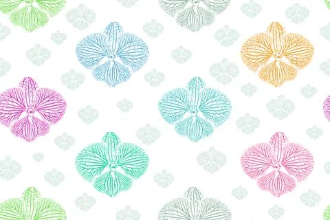 Orchid doodle seamless background on vector art. Stock Illustration