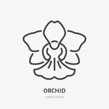 Orchid flat line icon. Vector sign of blossom, tropical flower outline logo Stock Illustration