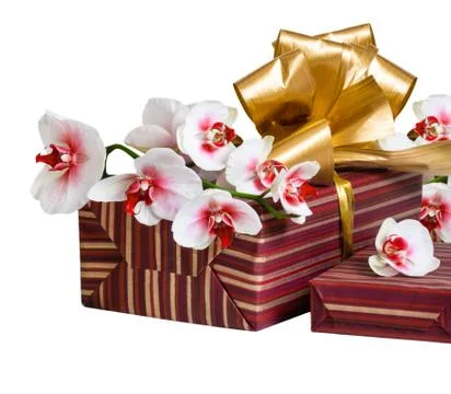 Orchid flower and gift box. Stock Photos