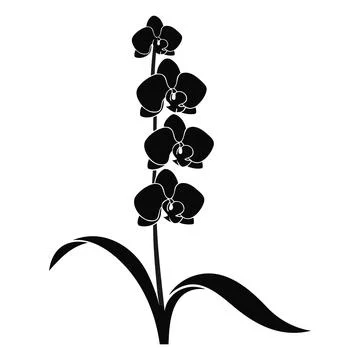 Orchid flower branch with multiple blooming buds and leaves illustration fo.. Stock Illustration