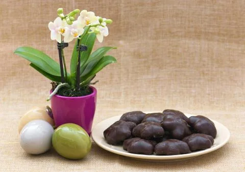Orchid flower, easter eggs and gingerbread Stock Photos