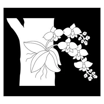 Orchid flower icon Stock Illustration