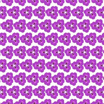 Orchid flower pattern. Illustrazione stock