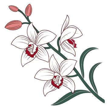Orchid Flower Vector Illustration Flat Tropical F (1) vector illustration d.. Stock Illustration