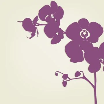 Orchid Stock Illustration