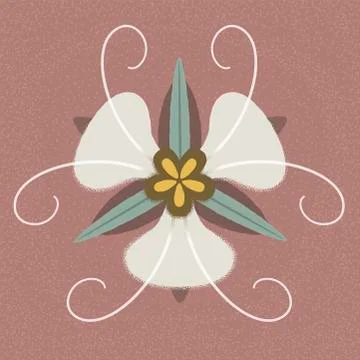 Orchid Stock Illustration