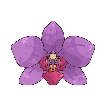 Orchid illustration Illustrazione stock