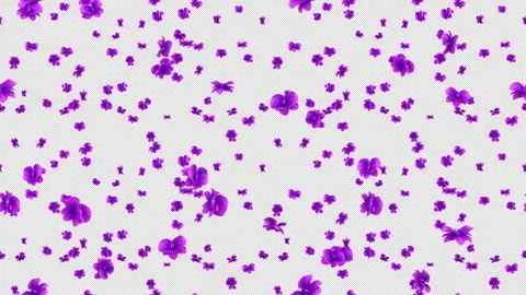 Orchid loop tile purple falling with alpha. This 3d animation with an Stock Footage 263818636