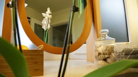 Orchid In The Mirror Video stock 94347955