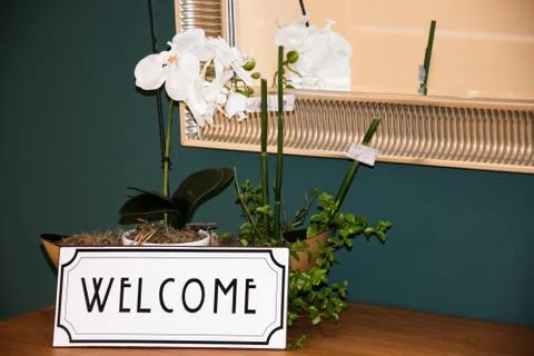 Orchid in a mirrow Stock Photos