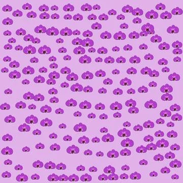 Orchid pattern Stock Illustration