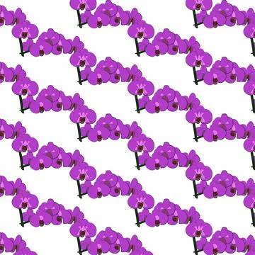Orchid pattern Stock Illustration