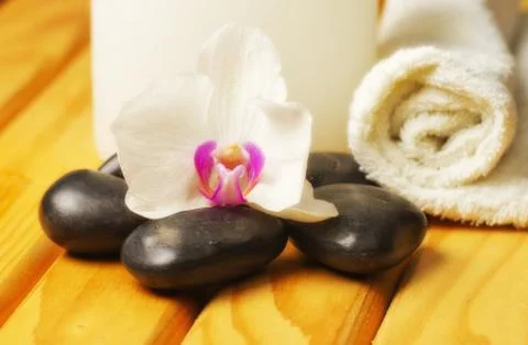 Orchid Stock Photos