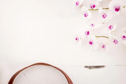 Orchid Stock Photos