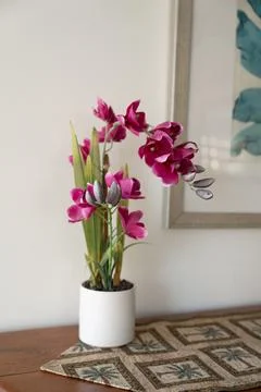 Orchid Stock Photos