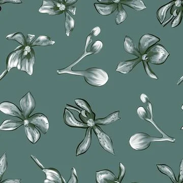 Orchid seamless pattern. Botanical pattern Stock Illustration
