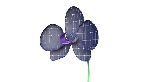 Orchid Solar Panel Concept 3D Rendering isolated Stock Illustration