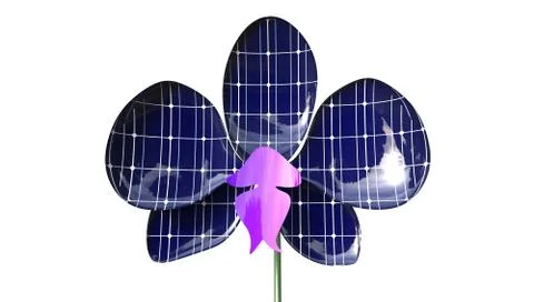 Orchid Solar Panel Concept 3D Rendering isolated Stock Illustration
