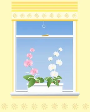 Orchid windowsill Stock Illustration