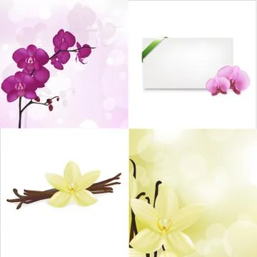 Orchids and vanilla set Stock Illustration