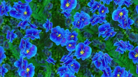 Orchids background loop tile blue swirling. This 3d animation is loopable Stock Footage 263794396