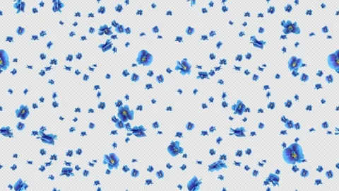 Orchids blue loop tile falling with alpha. This 3d animation with an alpha Stock Footage 263865148