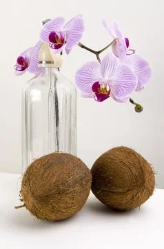 Orchids, coco nuts and soda bottle Stock Photos