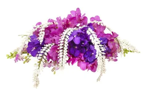 Orchids flower bunch on white background Stock Photos