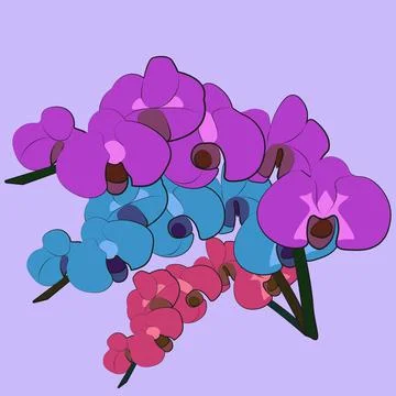 Orchids Stock Illustration