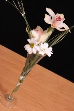 Orchids Stock Photos