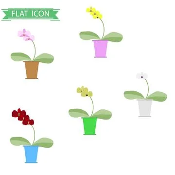 Orchids set Stock Illustration