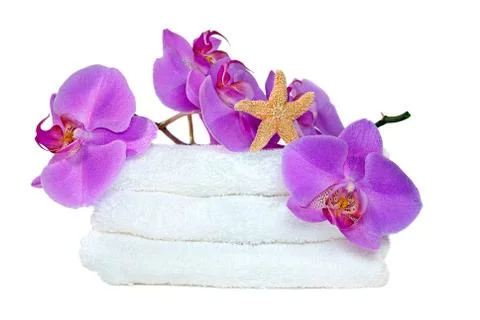 Orchids with starfish Stock Photos