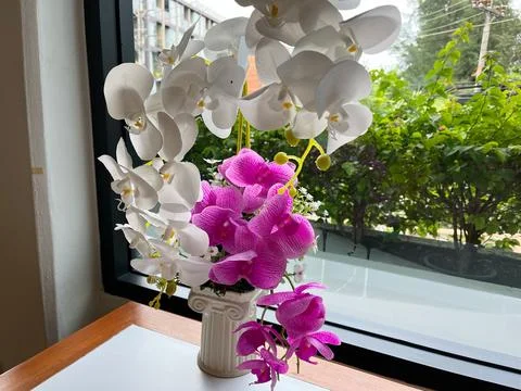 Orchids in a vase on a table in a cafe Stock Photos