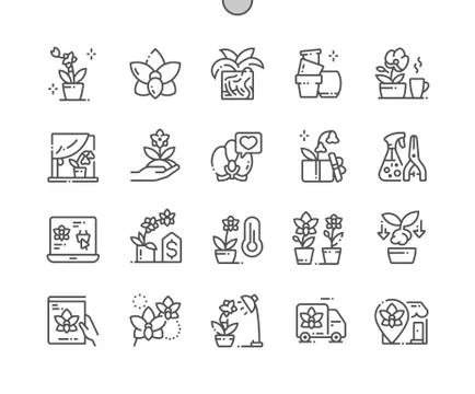 Orchids Well-crafted Pixel Perfect Vector Thin Line Icons Stockillustratie