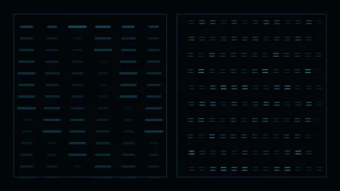 Order Blotter Scrolls Continuously Through A Trading Terminal Stock Footage 344513316
